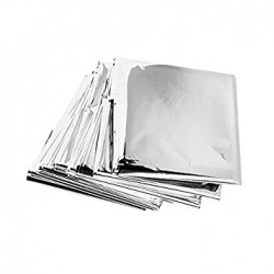 Plastic Silver Pouch 4x6 (Pack of 70)